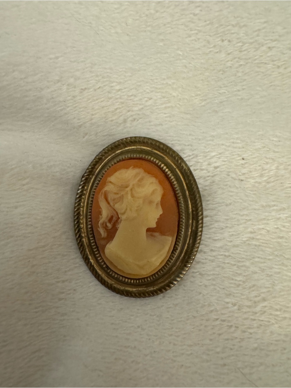Classic Cameo Brooch in Orange and Cream with Gold-Tone Frame